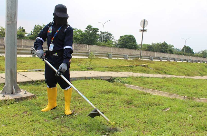 gardening-service-multi-clean-3